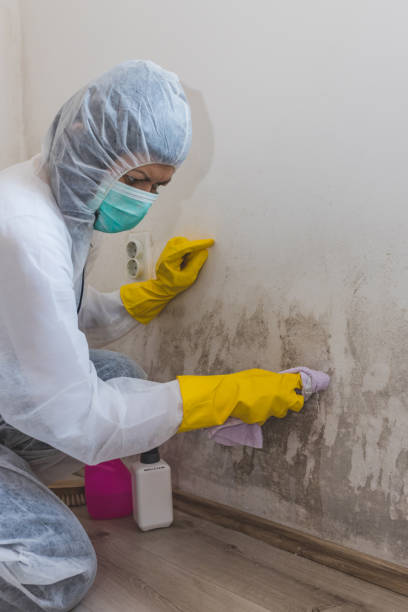 Best Indoor Air Quality Assessment  in Minneota, MN