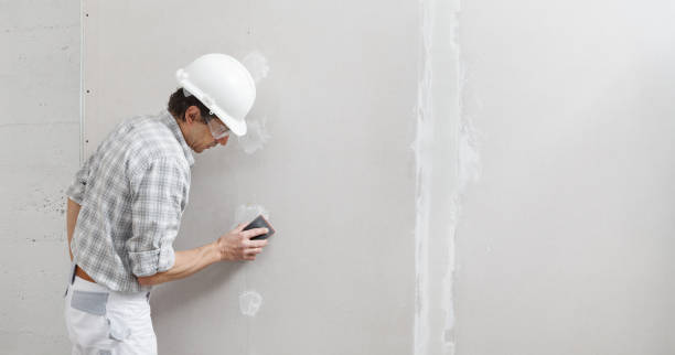 Best Residential Mold Inspection & Testing  in Minneota, MN