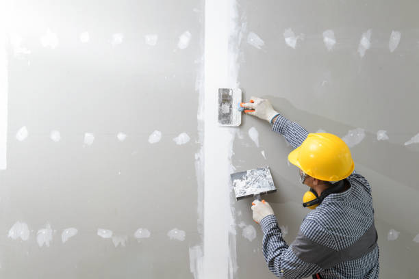 Best HVAC Mold Inspection and Cleaning  in Minneota, MN
