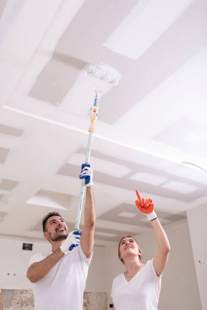 Best Emergency Mold Remediation  in Minneota, MN