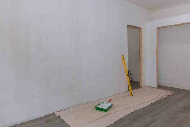 Best Comprehensive Air Testing for Mold Contaminants  in Minneota, MN