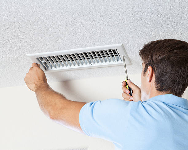 Best Water Damage & Mold Remediation  in Minneota, MN